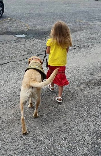 Child Heeling with Autism Service Dog