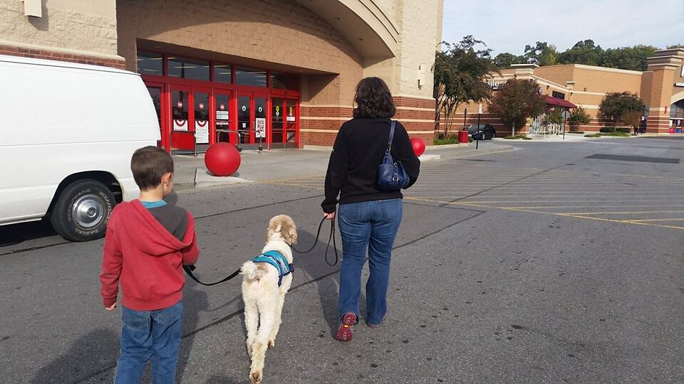 Autism Service Dog tethering with child