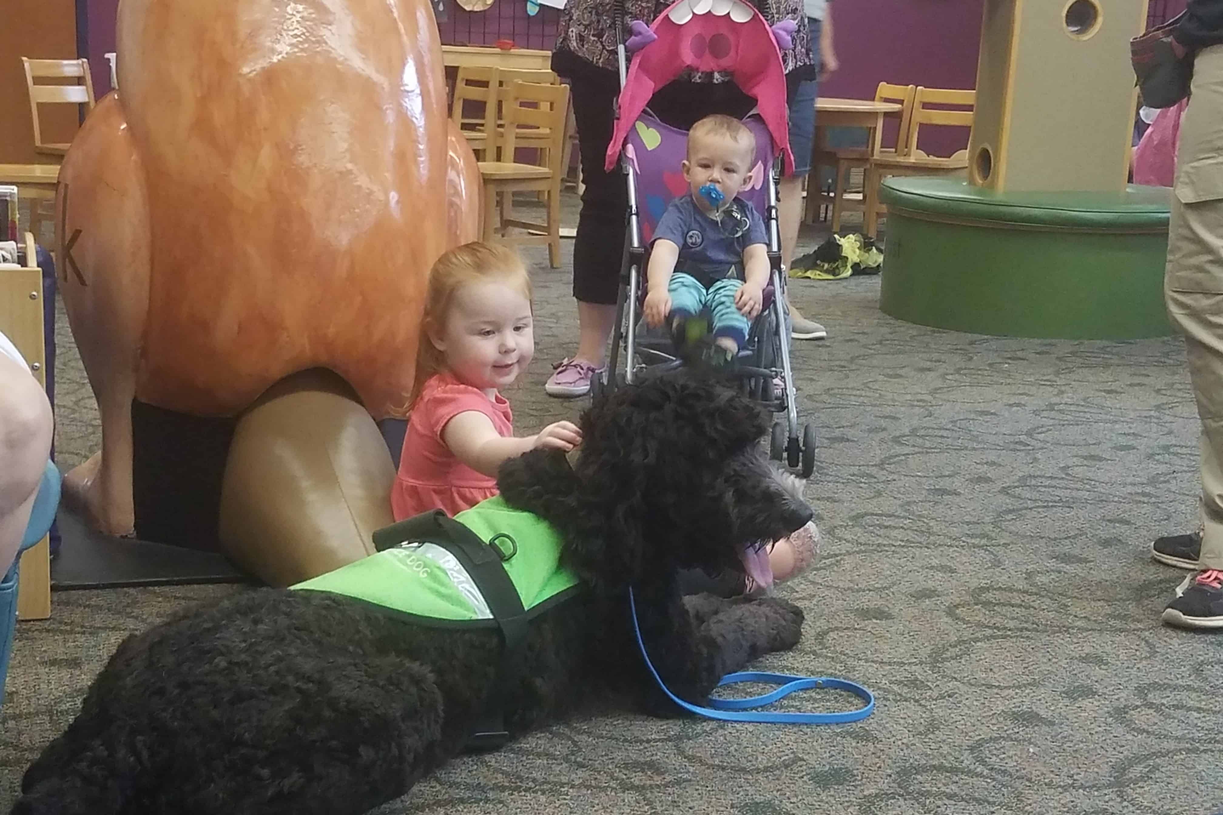 socializing service dogs to children