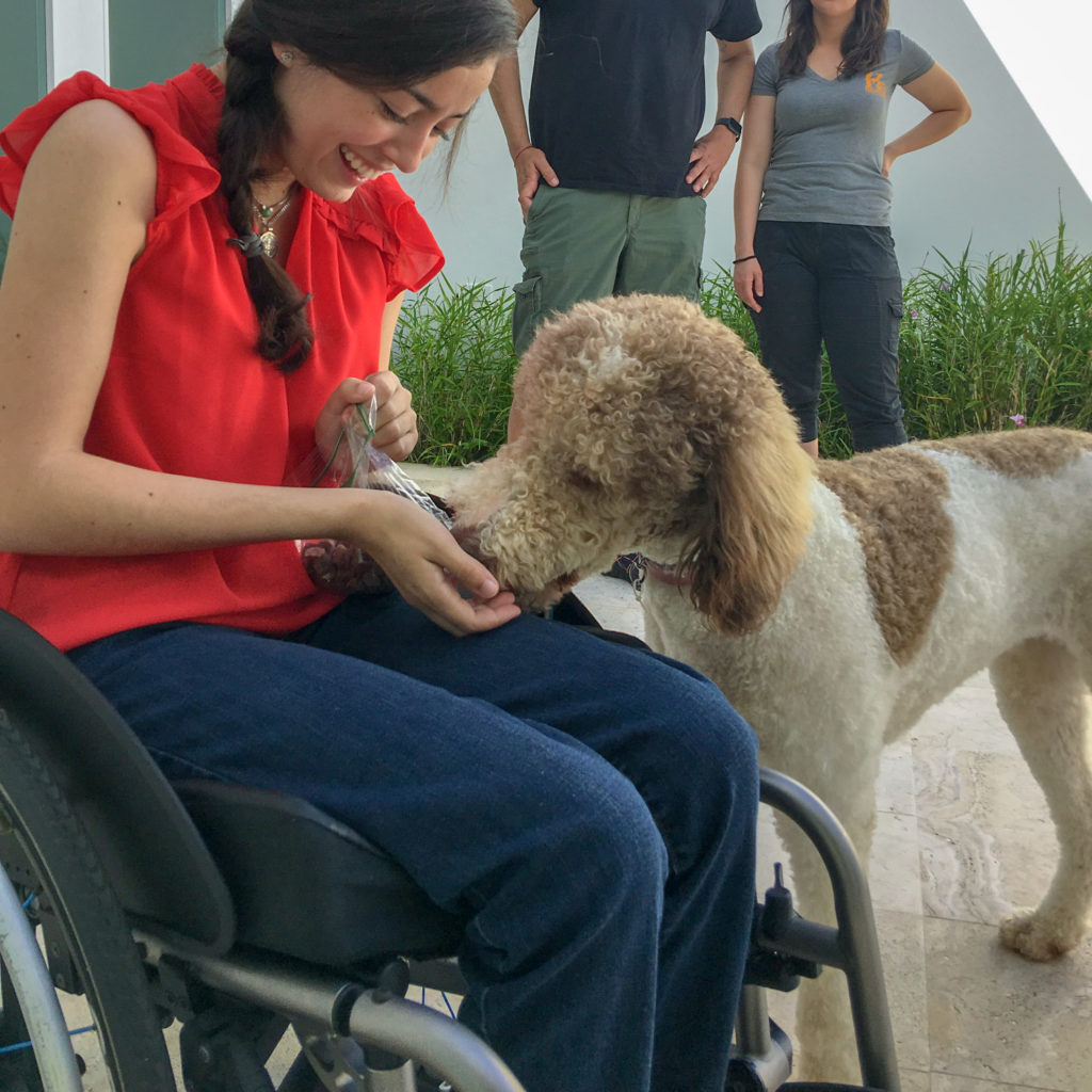 Mobility service dog assisting young woman in wheelchair