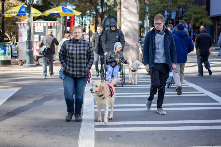 How do I qualify for a Service Dog? Highland Canine Service Dogs