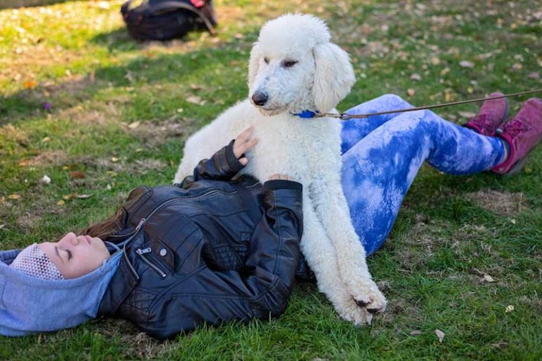 How do I qualify for a Service Dog? Autism Service Dogs