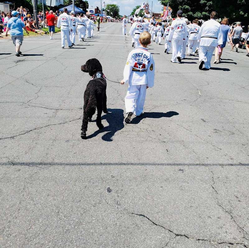 Service Dog walking with autistic child