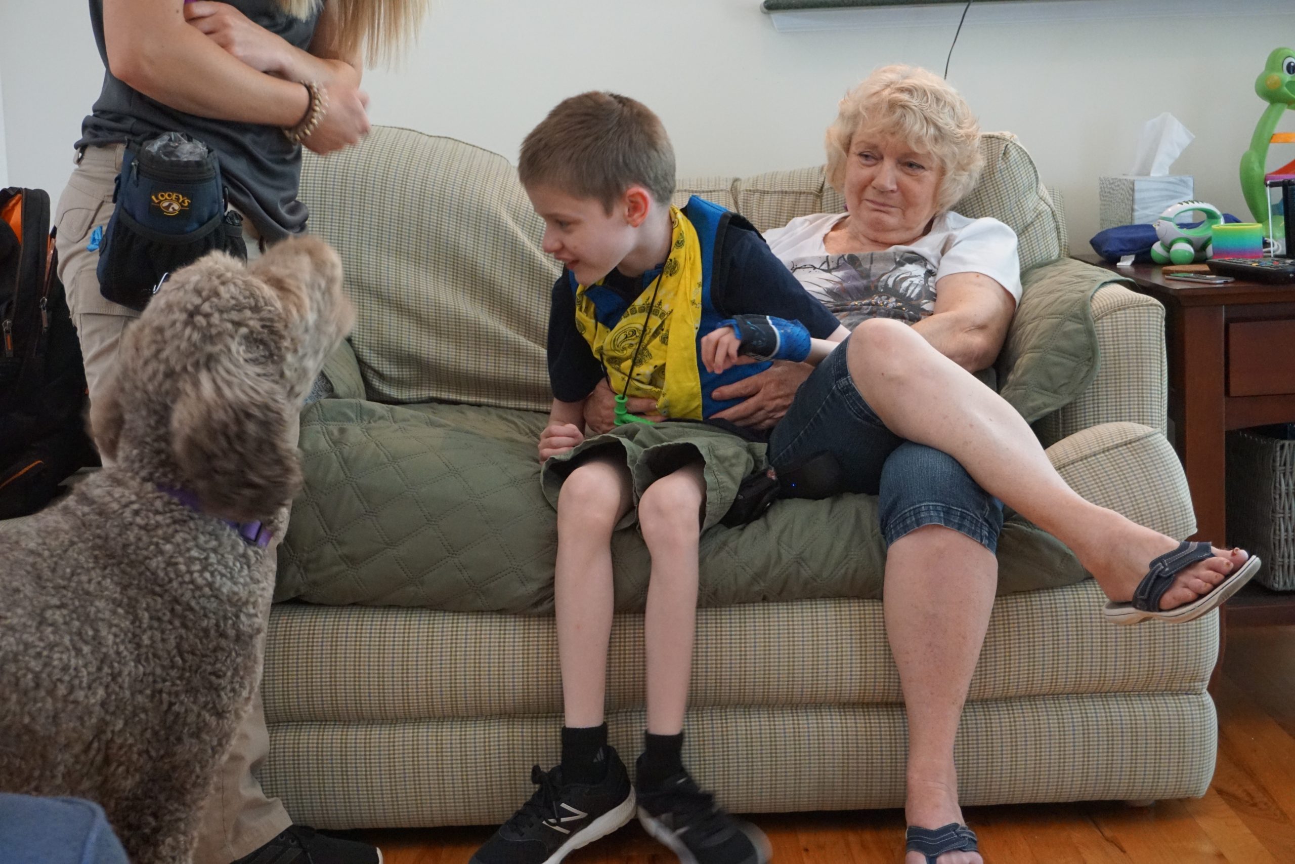 How Do Seizure Service Dogs Help Their Handlers? Highland Canine