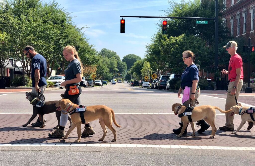 service dog trainers out in public