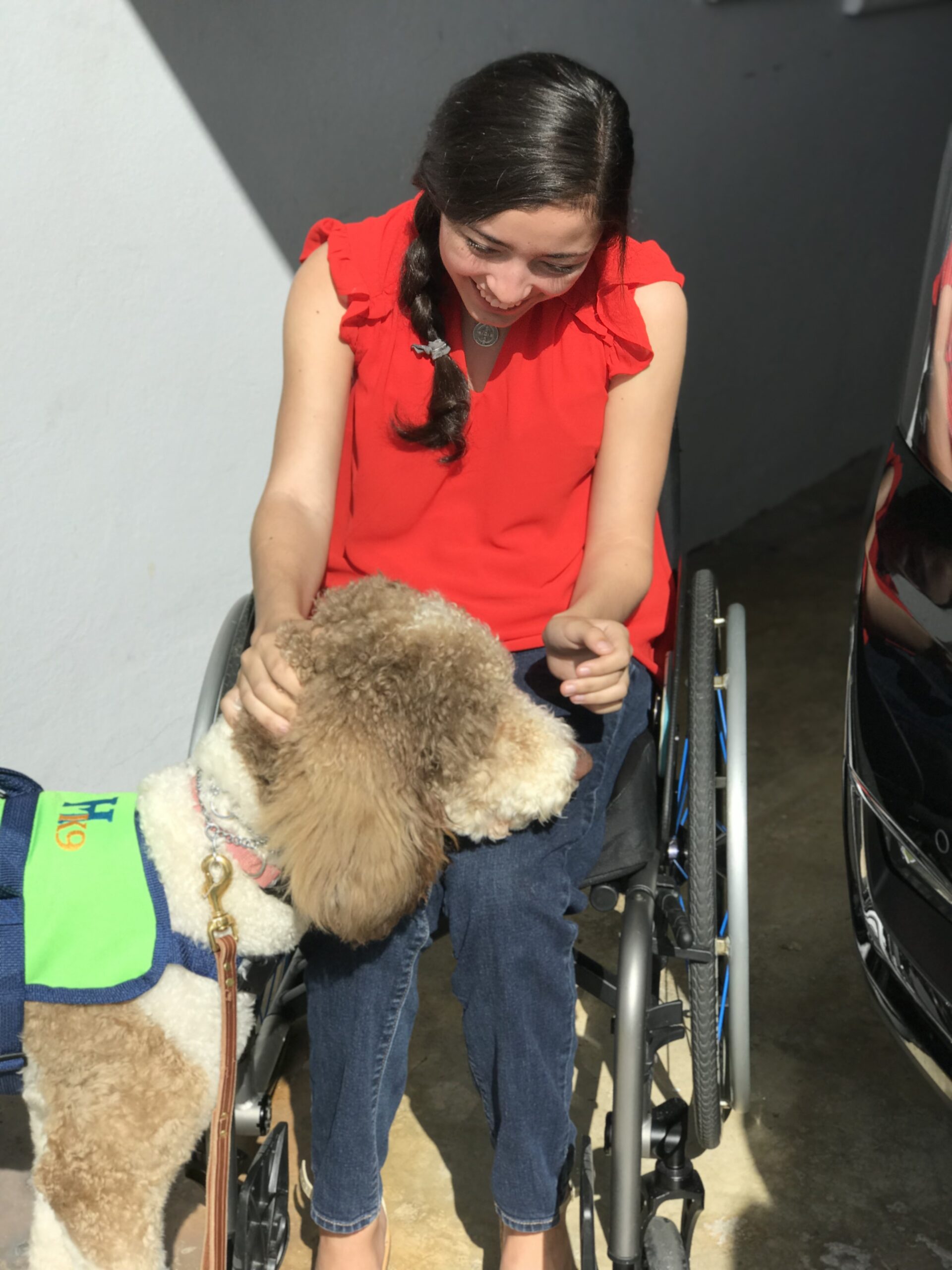 mobility assistance dog and handler