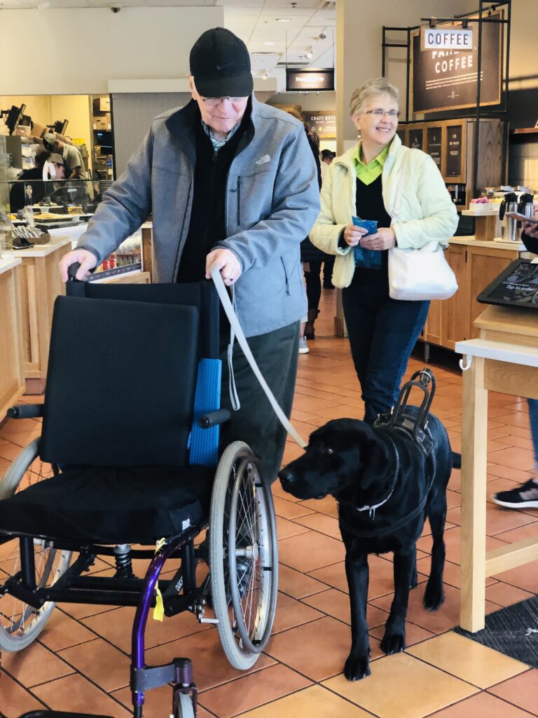 mobility assistance dog with older gentleman