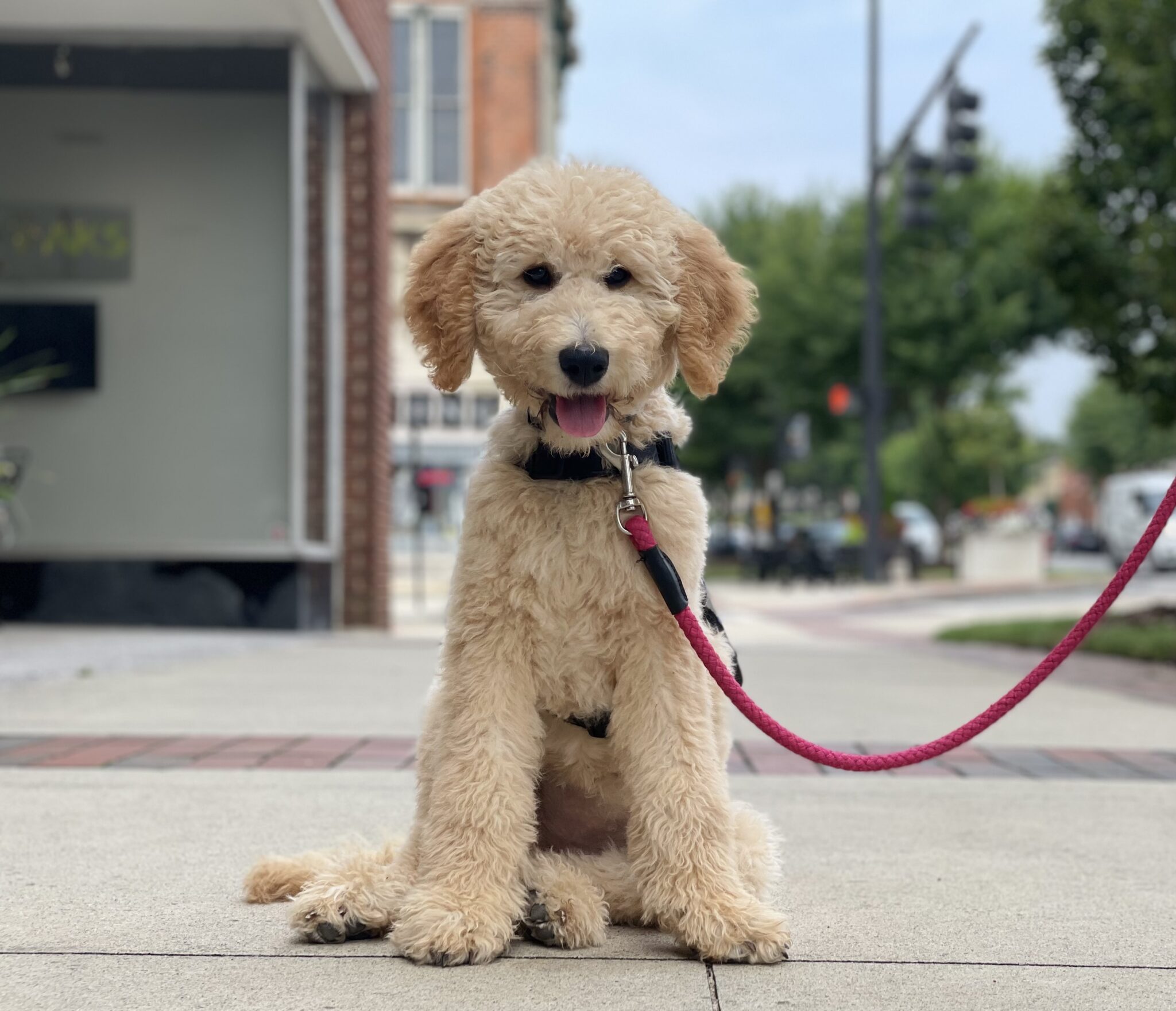 Examining The Differences Between Seizure Alert and Seizure Response