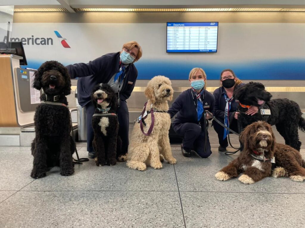 service dogs at charlotte airport