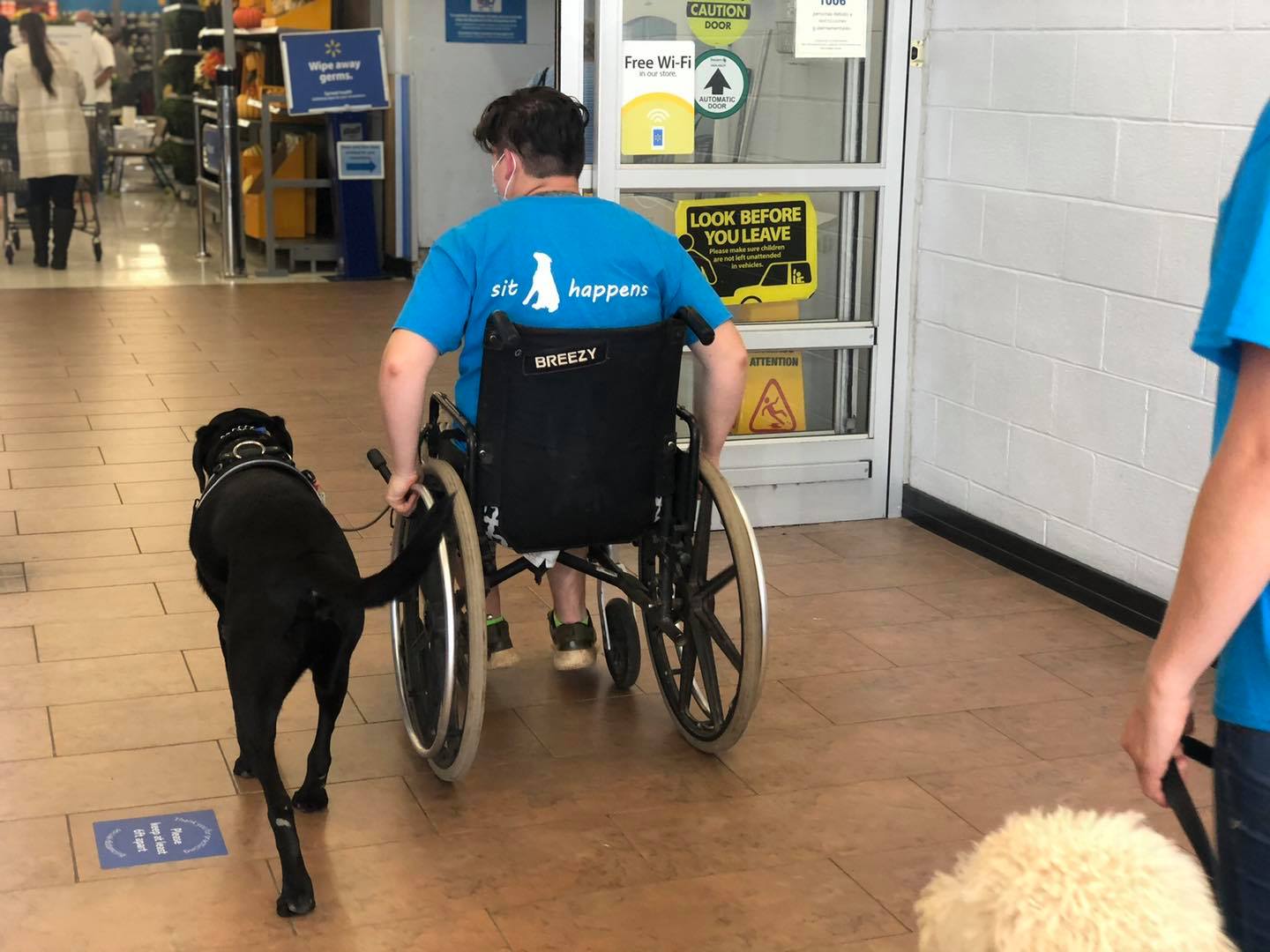 What Tasks Can Mobility Service Dogs Perform? Highland Canine Service