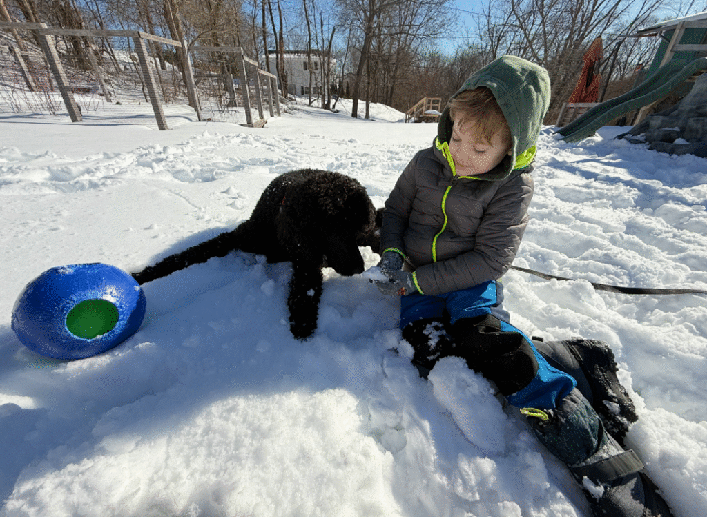 boomer and porter playing in snow
